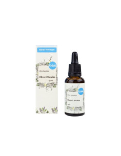 #4939 kvitok skvalan