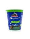 #6177 jogurt bezlaktozy bgl