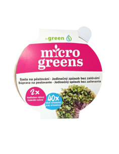 #6215 microgreens ružový kaleráb