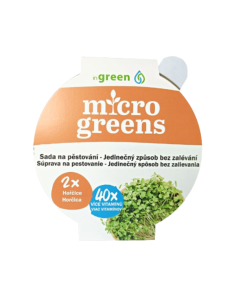 #6216 microgreens horčica